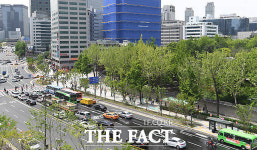 세종대로에서 서울역까지 사람숲길에서 힐링하세요! [TF사진관]