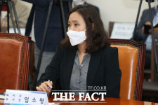 민주당 백신 점검 회의 참석한 임소명 화이자 부사장 [포토]