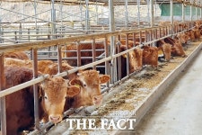 정읍시, 가축 밀집 사육 막고 축사 악취 민원 줄인다