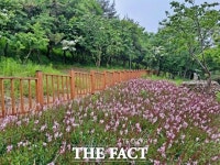 목포시, 꽃의 향연 만끽하는 해변맛길 30리 남항구간 개통