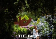 구례 산동면 수목원, 수국 10만 송이 만발 탐방객 유혹