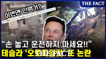 테슬라 '오토파일럿' 또 논란…美서 소송 제기 [TF영상]
