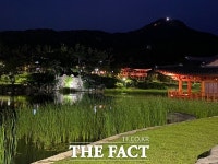 경북도청 원당지 주변 열대야 폭염 잠 못 드는 밤 피서지 인기[TF사진관]