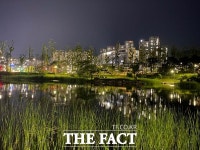 경북도청 원당지 주변 열대야 폭염 잠 못 드는 밤 피서지 인기[TF사진관]