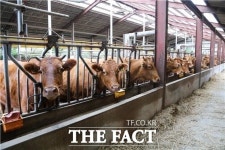 강원도 양양 한우 맛보러 오세요