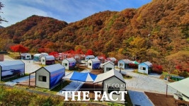 울긋불긋 단풍으로 물든 지리산국립공원 야영장 [TF포토]