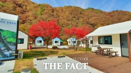 울긋불긋 단풍으로 물든 지리산국립공원 야영장 [TF포토]