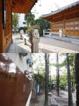 11월 미래유산에 혜화동 주민센터·성북동 비둘기