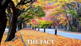 정읍 완연한 가을, 울긋불긋 단풍 절정 맞은 내장산