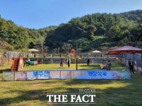 목포 반려동물놀이터, 문 열자마자 인기로 북적