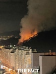 부산 덕천동 아파트 야산서 불…인명 피해 없어