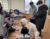 청도 모계중, 코로나 19 힘들었는데 강아지와 함께 너무 즐거웠어요[TF현장]