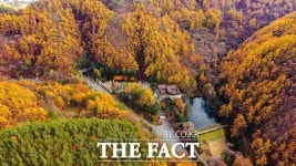 대전 명상정원·만인산 자연휴양림, 코로나 안심관광지 선정
