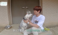 배우 유연석 조승우 이도현, 마음까지 훈훈한 유기견 아빠들 [TF확대경]