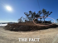 포항 장기주민들, 공사 소음으로 물고기 스트레스 받아 폐사 위기 호소