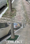 수원시, 금당·수일·매곡로 일원 등 8개 구간서 가로수 보호시설물 정비