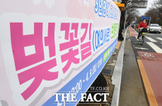 3년 만에 만나요...윤중로 벚꽃길 보행로 개방 [TF사진관]