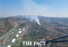 충남 예산군 대흥면서 산불...0.1ha 소실