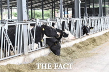 나주시, ‘동물복지형 녹색축산농장’ 지정 확대