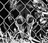 사람을 죽였다…70대 동물농장 주인이 이웃에 흉기 휘두른 사연은?