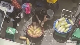 무 세척한 수세미로 발 닦은 족발집 사장 벌금형