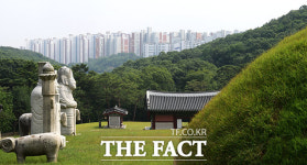 문화 유산 너머, 아파트 [포토]
