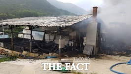 해남읍 길호마을 돈사 불...자돈 745여 마리 등 돼지 5060여 마리 폐사