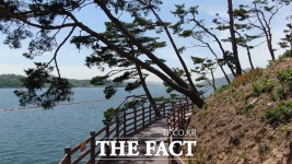 7km를 돌다보면 절로 힐링되는 예당호 느린호수길 [TF사진관]