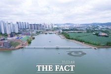 천안 성성호수공원서 멸종위기종 쇠제비갈매기 발견