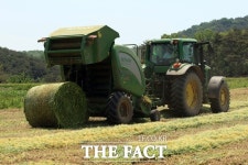 홍성군, 축산농가에 사료값 구매자금 295억 지원 