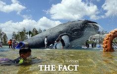우영우도 좋아할 물뿜는 고래놀이터~ [TF사진관]