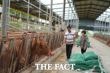 해남군, 현우 농장 한우 동물복지 축산농장 전국 3호 인증 받아