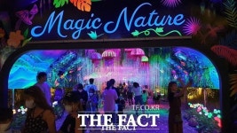 열대야 날리세요...대전 오월드 나이트 유니버스 개장 [TF사진관]