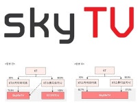 스카이라이프TV-미디어지니 합병…11월 1일 합병법인 출범