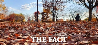 가을 내음 가득한 청주 오송 [TF사진관]