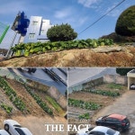 [단독] 농심 울리는 경찰 농부...파출소 주차장에 농작물 경작 논란