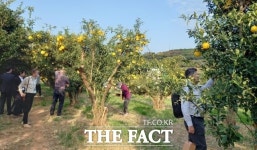 고흥군 지역축제 일회성 탈피, 생산적 축제 원년 자평