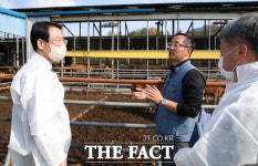 [전남 단신]강진군, 한우 보증씨수소 2호에 도전 등