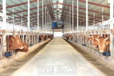 정읍시, 악취 없는 깨끗한 축산농장 신청하세요