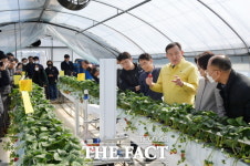 담양군, 자체 개발 딸기 죽향 로봇 수확 시연회 개최