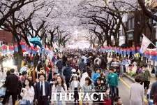 화사한 제주의 봄 전농로 왕벚꽃 축제 24~26일 개최
