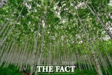 강원도, 걷기좋은 명품숲길 30선 10곳 선정