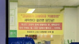 [단독] 고양이 빨래 논란 업주, 가맹 계약 해지 통보 받고 분통 (영상)