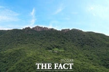 [기획] 떠나자 내장산으로, 푸른 단풍 벗 삼아 온갖 시름 훌훌 털어 버리라!