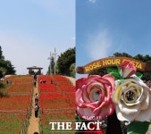 [현장FACT] 꽃향기만 남기 전 꼭 가야 할 서울 장미축제 (영상)