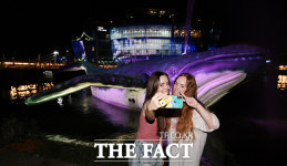 한강에 나타난 고래와 찰칵 [포토]