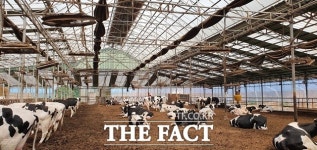 경기도, 사육환경 좋은 가축농장 71곳 선발 인증