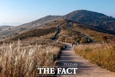 9일간의 은빛 여정…합천 황매산 억새축제 이달 29일까지