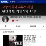 고양이 학대 유튜브 폐쇄…동물권단체, 구글 조치 이끌어