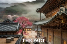 지리산 화엄사 홍매화, 천연기념물 지정 고시...지리산 구례 화엄매